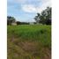  Land for sale in Cordoba, Monteria, Cordoba