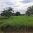  Land for sale in Cordoba, Monteria, Cordoba