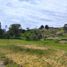  Land for sale in Gomez Plata, Antioquia, Gomez Plata