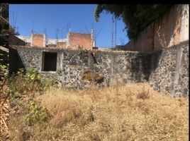  Terrain for sale in Mexico, Juchitepec, Mexico