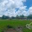  Terreno (Parcela) en venta en Coatepec, Veracruz, Coatepec