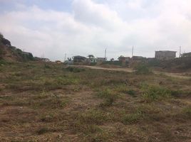  Land for sale in Daule, Guayas, Daule, Daule