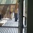 0 SqM Office for rent in Veracruz, Veracruz, Veracruz