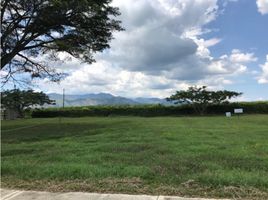  Land for sale in Palmira, Valle Del Cauca, Palmira