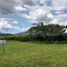  Land for sale in Palmira, Valle Del Cauca, Palmira