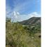  Land for sale in Palmira, Valle Del Cauca, Palmira