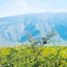  Land for sale in Vallecillo, Nuevo Leon, Vallecillo
