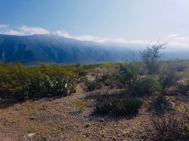  Land for sale in Vallecillo, Nuevo Leon, Vallecillo
