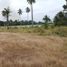  Terreno (Parcela) en venta en La Antigua, Veracruz, La Antigua