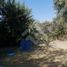  Terreno (Parcela) en venta en San Jode de Maipo, Cordillera, San Jode de Maipo
