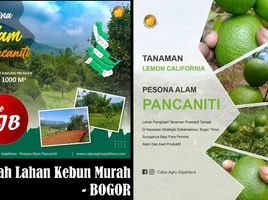  Land for sale in Bogor Selatan, Bogor, Bogor Selatan