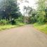  Land for sale in Cariu, Bogor, Cariu