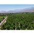  Land for sale in Chile, Los Andes, Los Andes, Valparaiso, Chile