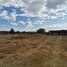 Terrain à vendre à Durango, Durango, Durango, Durango