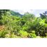  Land for sale in La Mesa Cundinamarca, La Mesa