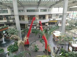 Studio Villa zu vermieten in Naucalpan De Juarez, Mexico, Naucalpan De Juarez
