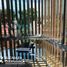 160 m2 Office for rent in Morelos, Cuernavaca, Morelos