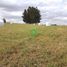  Land for sale in Chile, Osorno, Osorno, Los Lagos, Chile