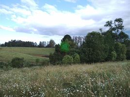  Land for sale in Chile, Osorno, Osorno, Los Lagos, Chile