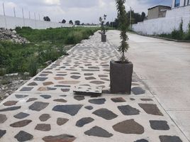  Grundstück zu verkaufen in Toluca, Mexico, Toluca