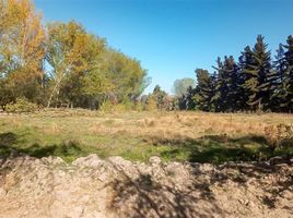  Terreno (Parcela) en venta en Cordillera, Santiago, Pirque, Cordillera