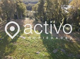  Terreno (Parcela) en venta en Los Ríos, Mariquina, Valdivia, Los Ríos