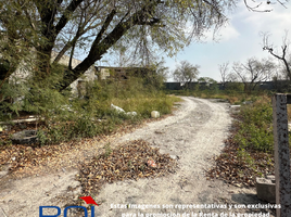  Terreno (Parcela) en alquiler en Monterrey, Nuevo León, Monterrey, Nuevo León
