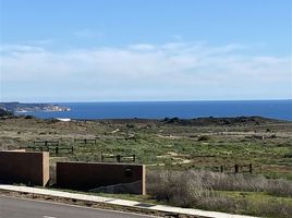  Terreno (Parcela) en venta en Chile, Quintero, Valparaíso, Valparaíso, Chile
