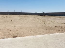  Grundstück zu vermieten in Zaragoza, San Luis Potosi, Zaragoza, San Luis Potosi