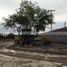  Terreno (Parcela) en venta en Pesqueria, Nuevo León, Pesqueria