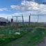  Grundstück zu verkaufen in Durango, Durango, Durango, Durango