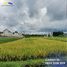  Land for sale in Malang Regency, East Jawa, Klojen, Malang Regency