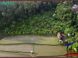  Land for sale in Belimbing Rice Terraces, Pupuan, Pupuan