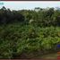  Terrain for sale in Belimbing Rice Terraces, Pupuan, Pupuan