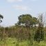  Terreno (Parcela) en alquiler en Merida, Yucatán, Merida, Yucatán