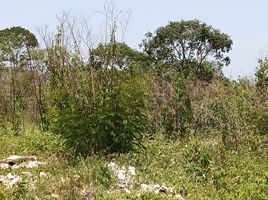  Terreno (Parcela) en alquiler en Merida, Yucatán, Merida, Yucatán