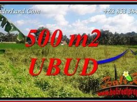  Land for sale in Ubud, Gianyar, Ubud