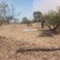  Land for sale in Punilla, Cordoba, Punilla