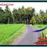  Land for sale in Selemadeg, Tabanan, Selemadeg