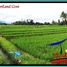  Land for sale in Selemadeg, Tabanan, Selemadeg