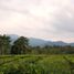  Land for sale in Puncak Gunung Mas Tea Gardens, Cisarua, Cisarua