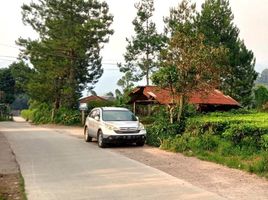  Land for sale in Puncak Gunung Mas Tea Gardens, Cisarua, Cisarua