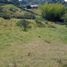  Land for sale in Guarne, Antioquia, Guarne