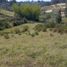  Land for sale in Guarne, Antioquia, Guarne