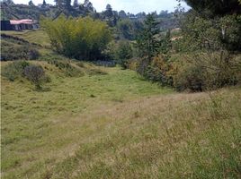  Terreno (Parcela) en venta en Guarne, Antioquia, Guarne