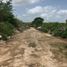  Grundstück zu verkaufen in Conkal, Yucatan, Conkal