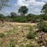  Grundstück zu verkaufen in Conkal, Yucatan, Conkal