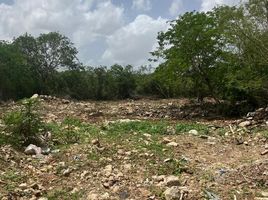  Grundstück zu verkaufen in Conkal, Yucatan, Conkal