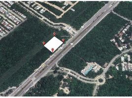  Terreno (Parcela) en alquiler en Cozumel, Quintana Roo, Cozumel, Quintana Roo