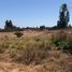  Terreno (Parcela) en venta en Melipilla, Santiago, Melipilla, Melipilla